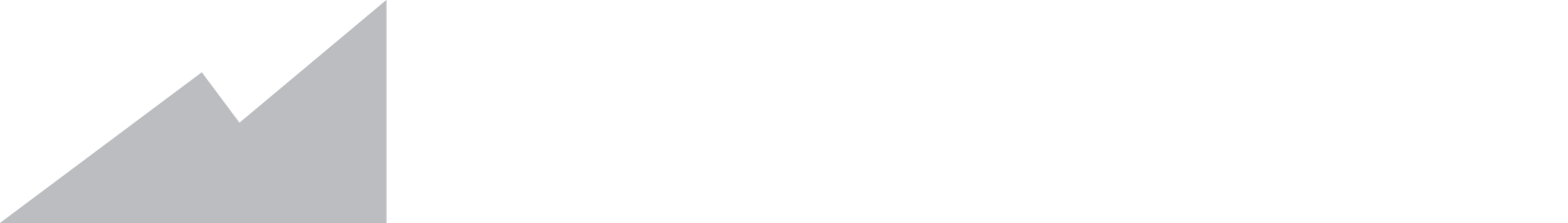 Singer Industrial
